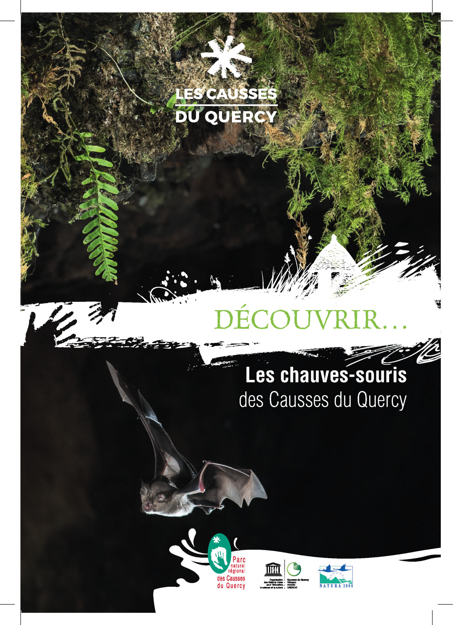 Ls Bébêts - Lili La Chauv-Souris - Édition Spécial  Junss  Au Souris Edition Speciale Jeunesse 9782203207752