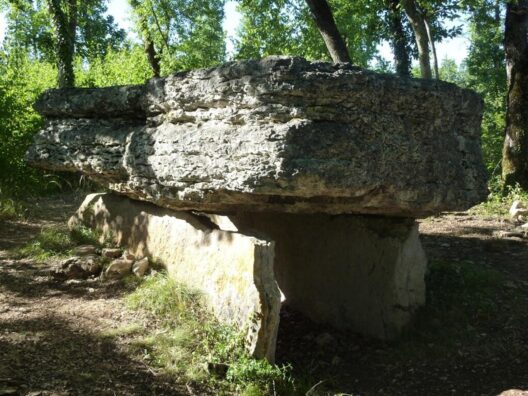 Image3
