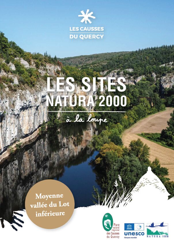 Site_MVLI