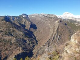 IMG-20260129-WA0005